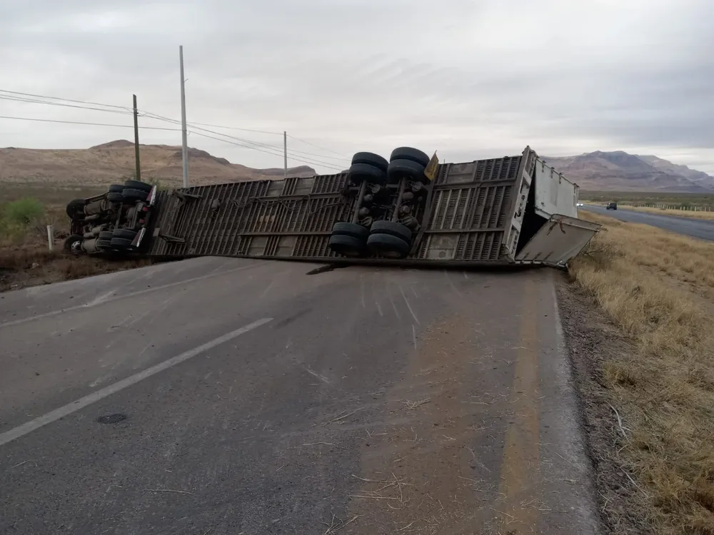 WhatsApp Image 2026-04-06 at 9.04.37 AM (2)