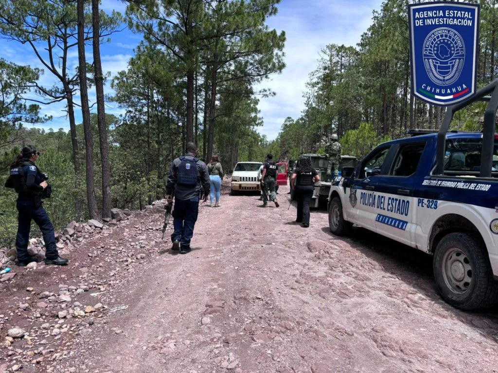 9edbf054d387149d21ec7c4ab3c422bdff2aa498