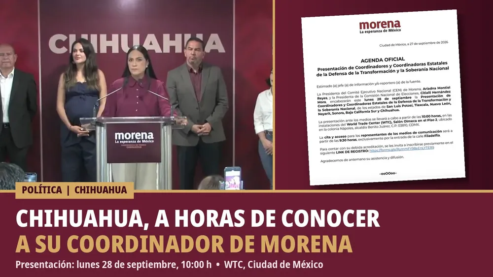 chihuahua_morena_