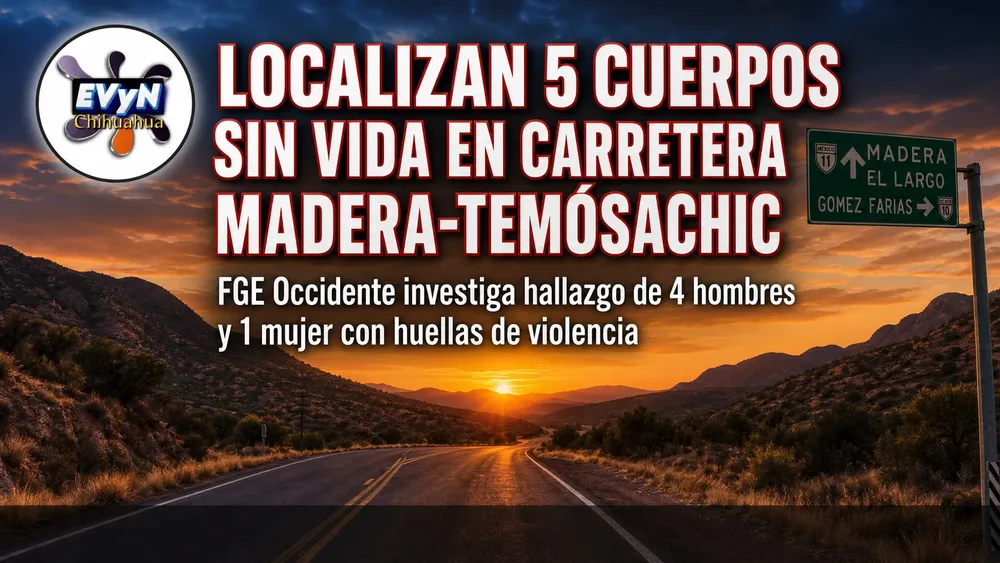 HALLAN 5 CUERPOS MADERA