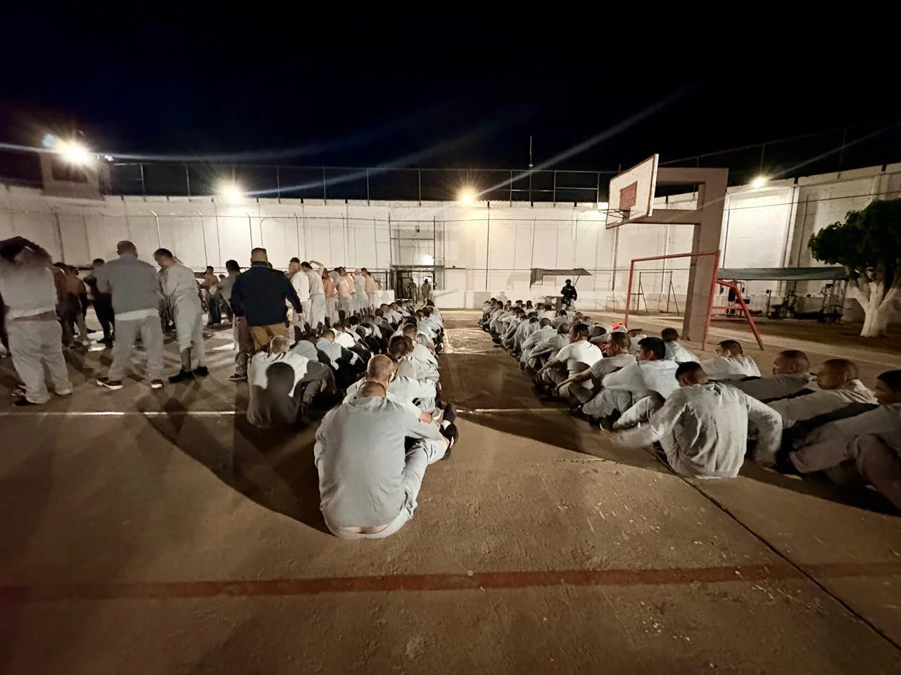 5ab4b62c-d1fa-4c9b-94fc-874a2e28922d