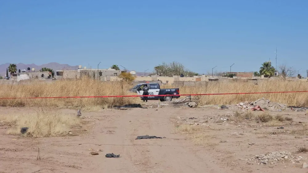 multimedia.normal.9969017c1c3b0af7.bm9ybWFsLndlYnA=