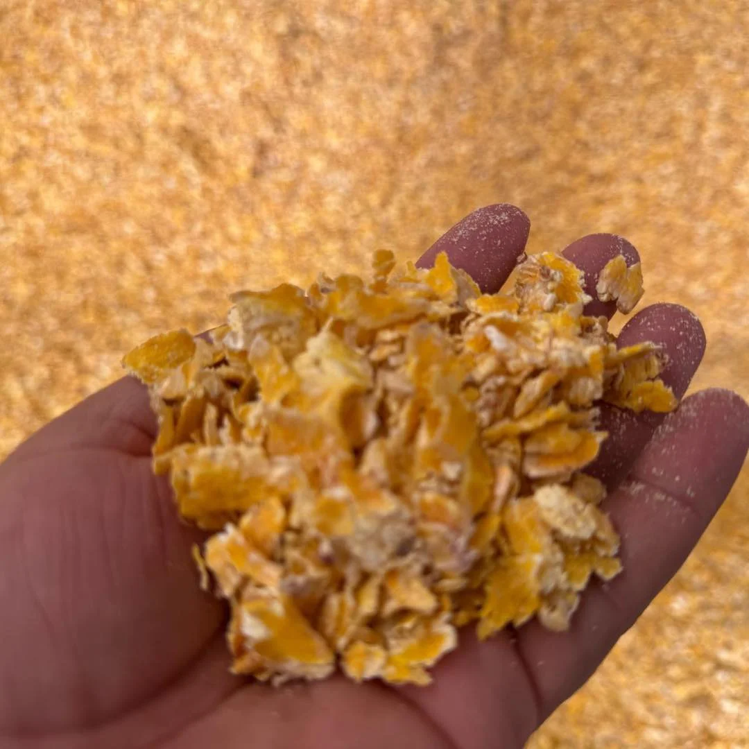 14b61c3f-696e-4c7f-9d50-88cc363ba3f4